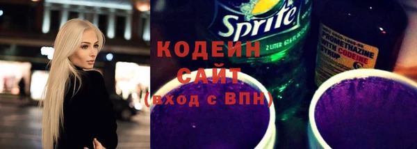 соль ск Елизово