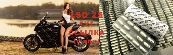соль ск Елизово