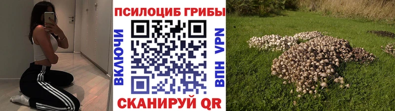 Псилоцибиновые грибы ЛСД  Купить  Магас 